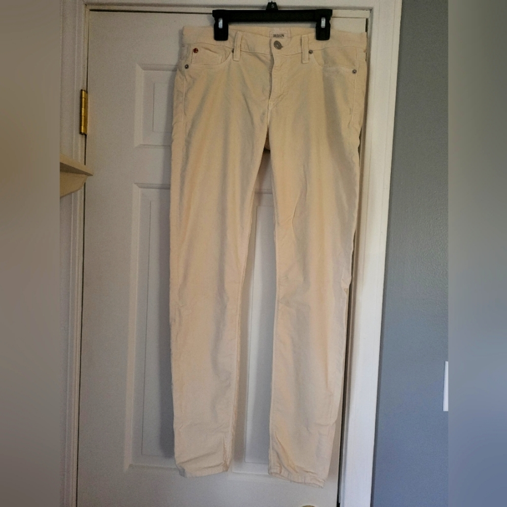 EUC Hudsom Velvet Skinny Jeans